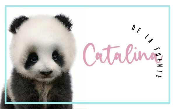 tarjeta baby animal 2