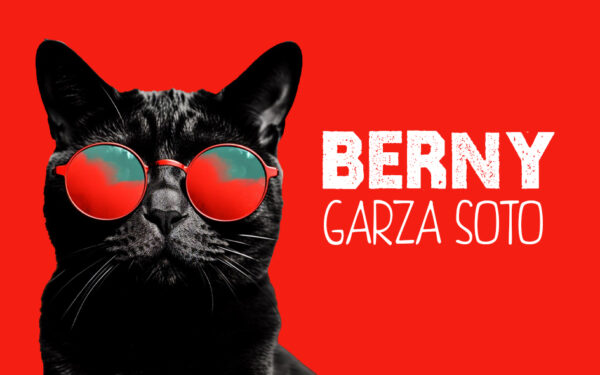 tarjeta cool cat 1