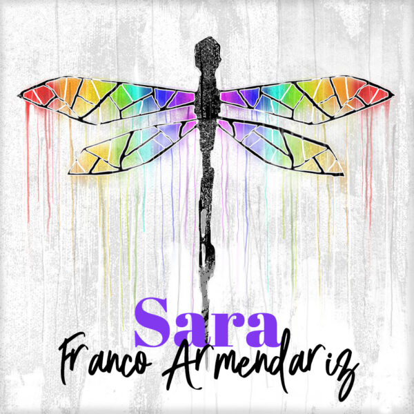 tarjeta dragon fly 1