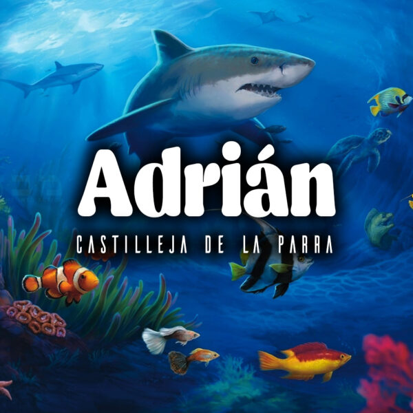 tarjeta fish 5