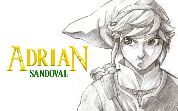 tarjeta link 2