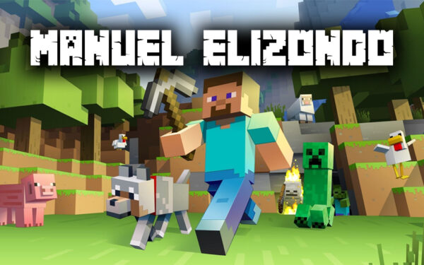 tarjeta mine craft 1