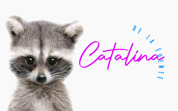 tarjeta racoon 2
